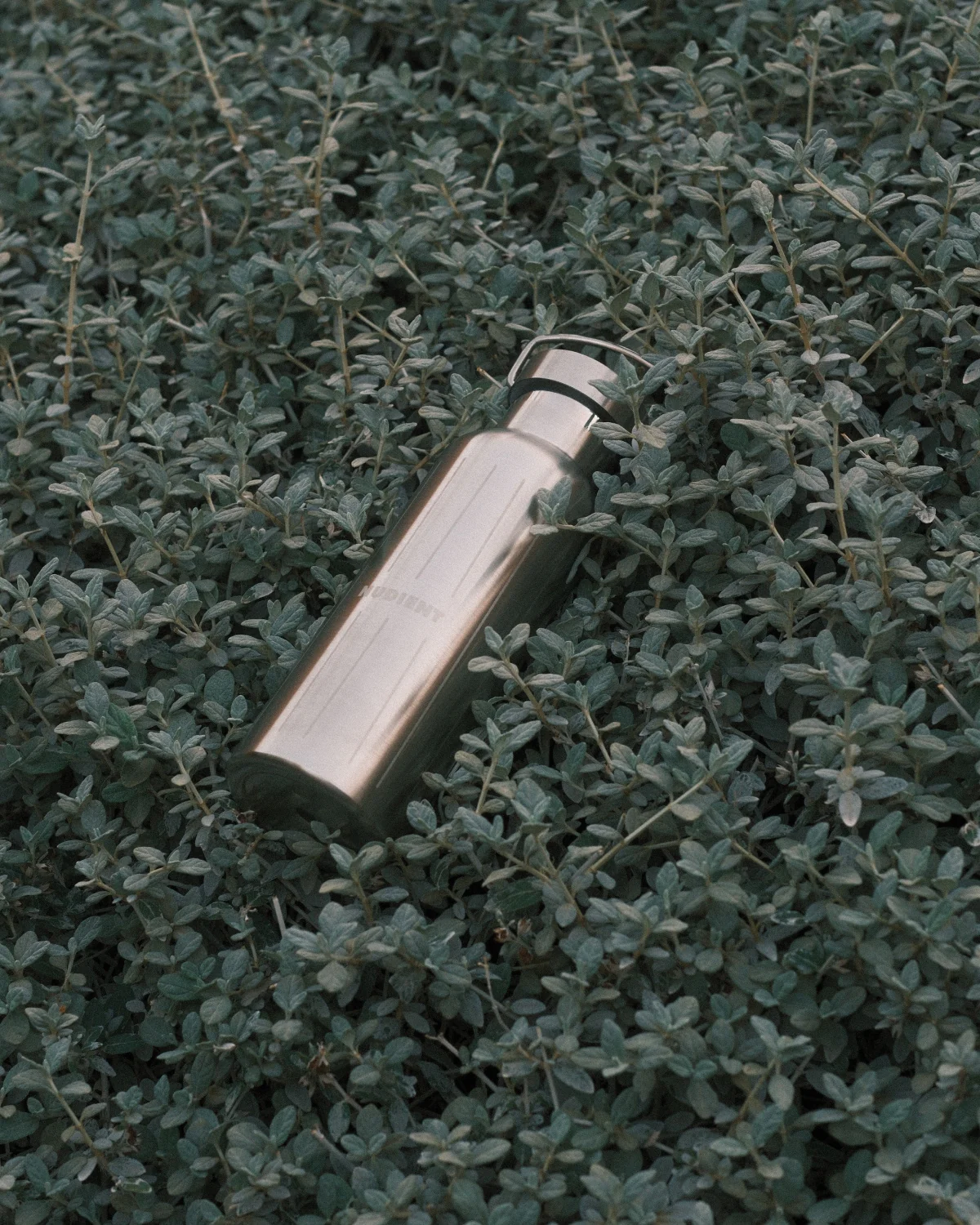 NUDIENT Water Bottle Brushed Stainless Steel - Image 3